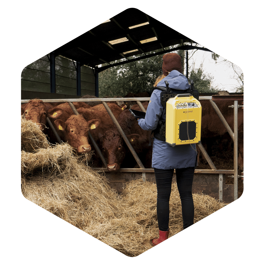 Gasmet hexagon animal