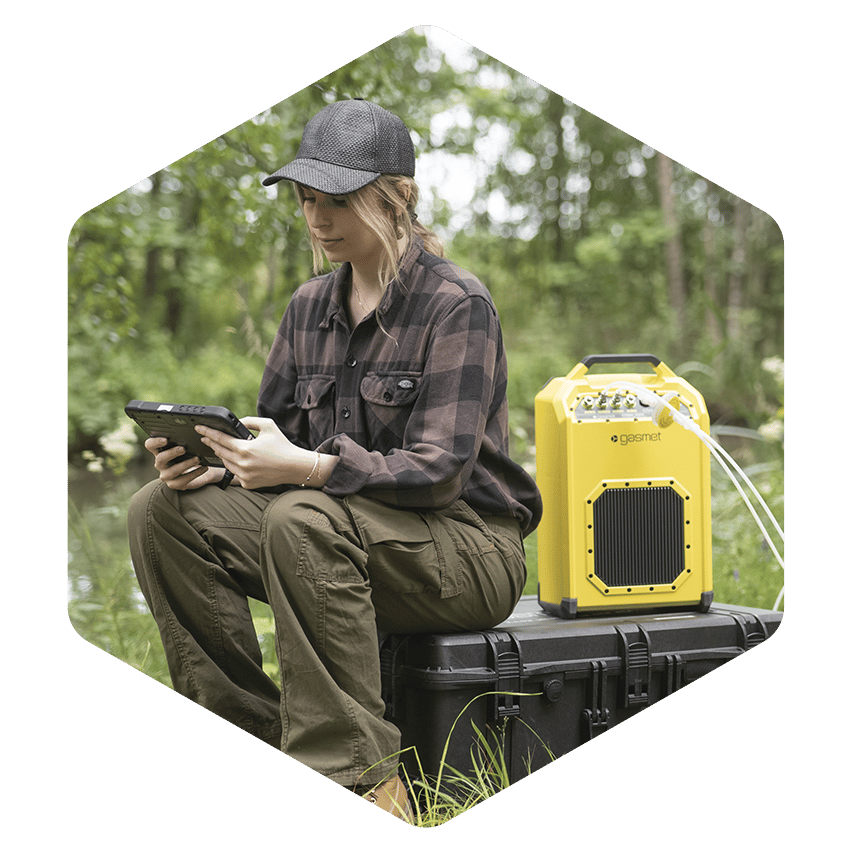 Gasmet hexagon wetland